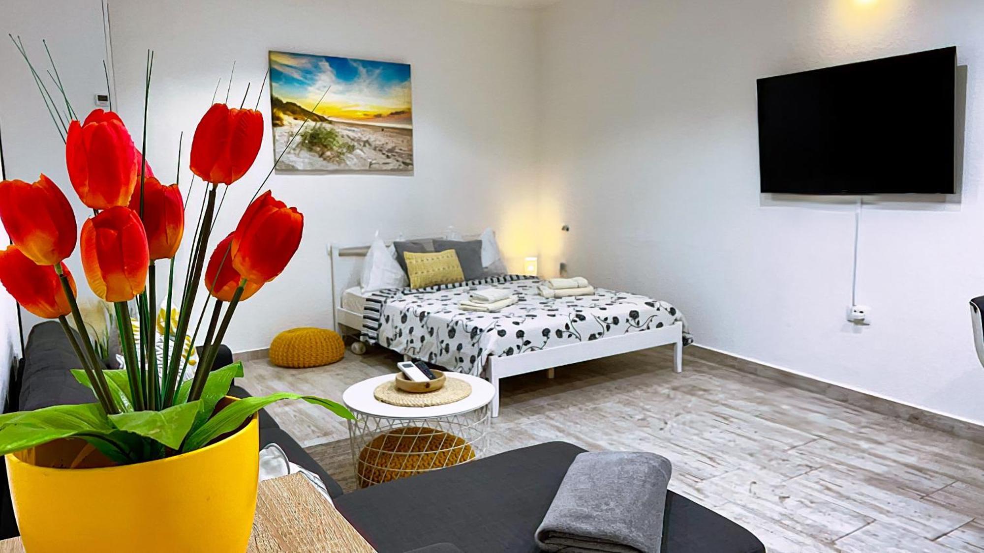 Studio De Mare Rovinj Zewnętrze zdjęcie